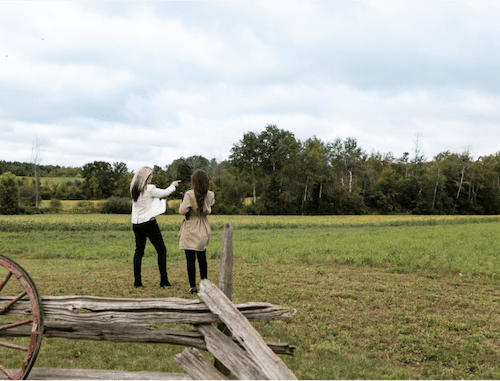 Where Is Halton Hills, Ontario?