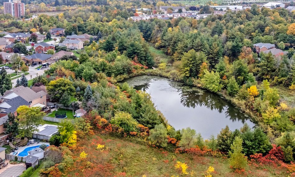 Georgetown community in Halton Hills