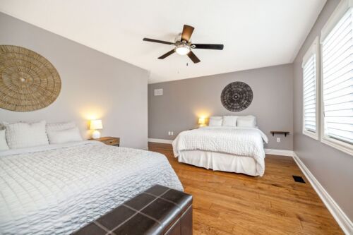 View Full Gallery